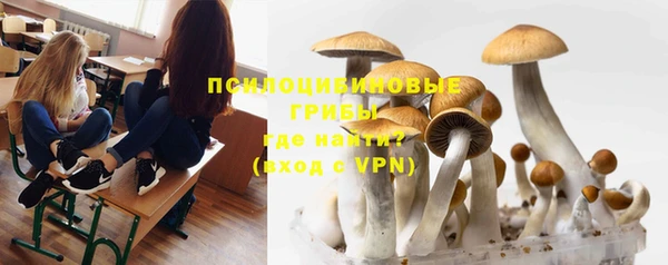 МДПВ Аркадак