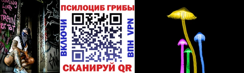 Галлюциногенные грибы Psilocybe  сколько стоит  Советский 